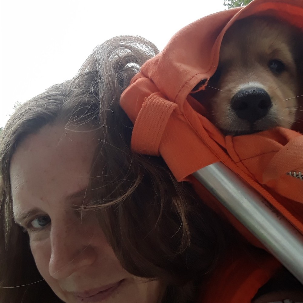 Meet your Posher, Ann